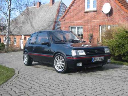 205 gutmann
