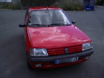 205 turbo d