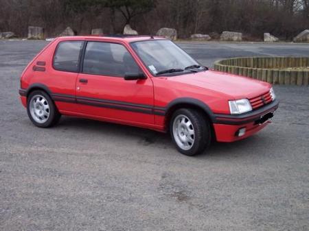 205 gti 1l9